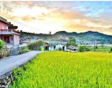 英山石头咀镇文化富民助力乡村振兴