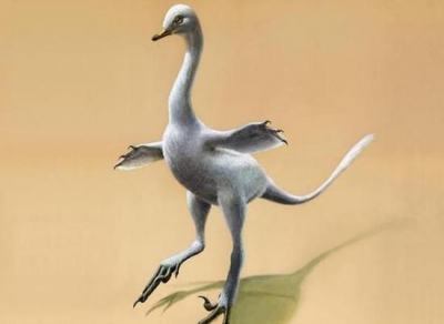 科学家发现水陆两栖恐龙:恐龙身体 天鹅脖子