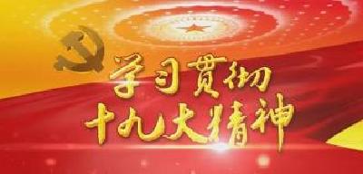 蕲春组织在蕲省市党代表宣讲党的十九大精神