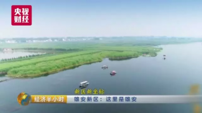 定了！这48家企业、十余所高校要搬到雄安新区