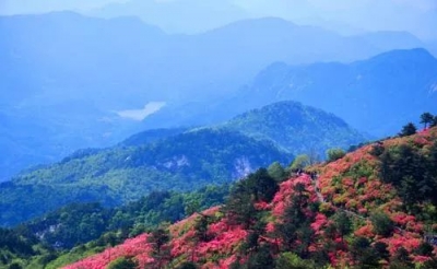 这里，聚集了3602家A级旅游景区！还有很多，就在你家门口！