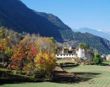 我市荣获“中国美丽乡村建设示范地区”称号