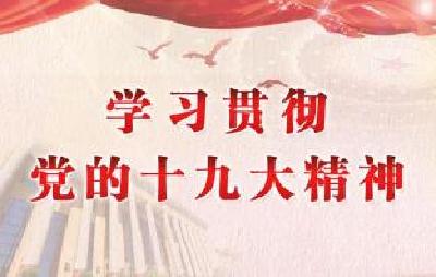 刘雪荣：以党的十九大精神为指引 继续推进库区改革发展
