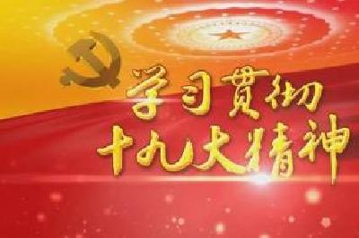 洪再林到麻城宣讲十九大精神