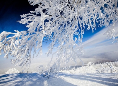 雪乡旅游丑闻不断 新民谚出现：再不听话，送你去雪乡