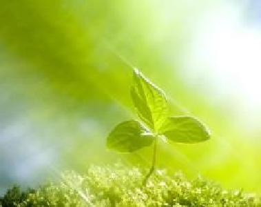 黄梅县2017年民生“十件实事”如期完成