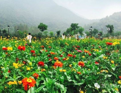 武穴：龙门花海景区获批国家3A级景区