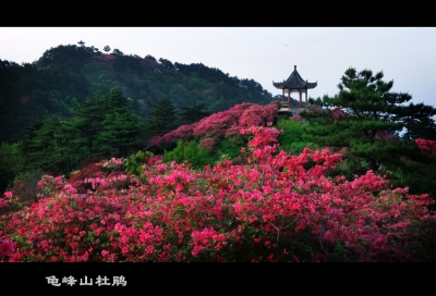 麻城龟峰山景区获评“中国最具投资潜力旅游目的地TOP20”