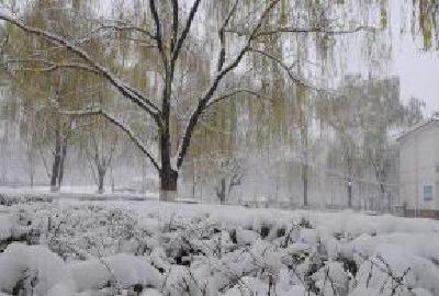 英山县部分乡镇迎来今冬首场降雪