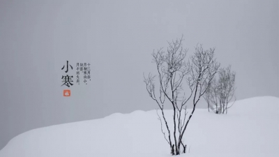 今日小寒 | 轻舞一曲送冬雪，万家灯里待春风