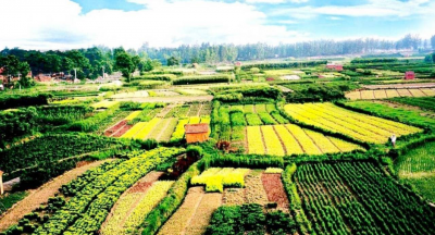 罗田：田园综合体稳步推进