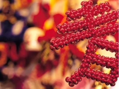 刘雪荣：打响扫黑除恶“第一枪” 让群众过一个欢乐祥和的春节