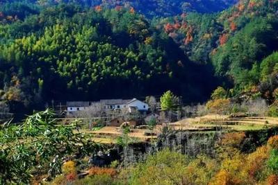 市城投公司赴英山县老鹳冲村慰问帮扶
