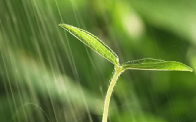 今明晴暖如春 后天雨水降温 本月底下月初阴雨较频繁