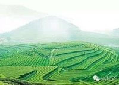 英山：优化经济发展环境实现三个转变