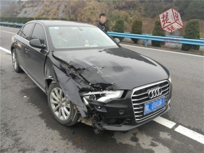 黄牛高速上将奥迪撞熄火 自己毫发无损被称“牛坚强”