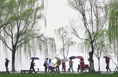 我市将迎来连绵雨水天气 外出请做好防雨措施