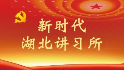 市政协召开推动“新时代湖北讲习所”落地落实动员会