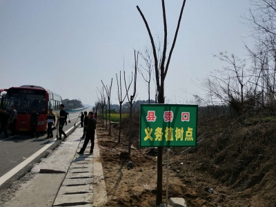 浠水：县纪委积极参加义务植树活动 铺绿护廉美浠川