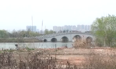 视频 | 《全员上阵勇担当 高度自觉抓落实》系列报道之三 市水产局：主动作为 超常推进市委重大决策部署贯彻落实