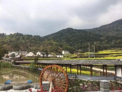 视频 | 邱丽新要求：增强攻坚意识 强化措施保障 确保打好打赢脱贫攻坚战