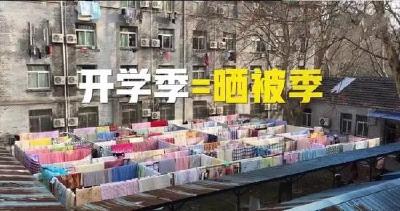 这幢宿舍楼笑喷全国网友：这样晒被子才精致！