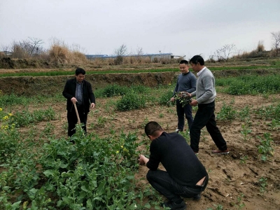 栽下致富树，强村又富民 ——上巴河镇许河口村扶贫工作纪实 