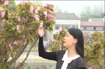 视频 | 清明踏青：乡村里的最美春天
