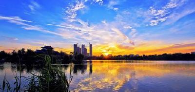 视频 | 邱丽新：以高度政治自觉和行动自觉全面加强政府系统廉政建设