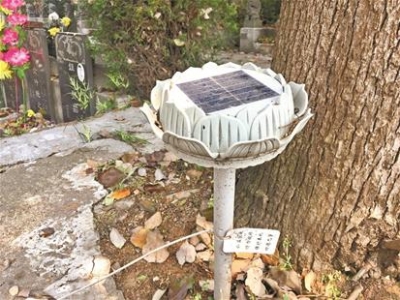 公墓无人却传出“喃喃细语” 男子吓得不敢祭扫家人