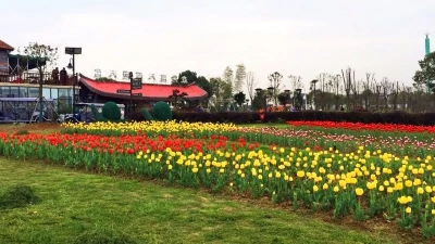 1624.15 万人游荆楚，都去了哪些地方？