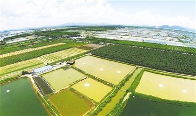 洪再林到麻城调研