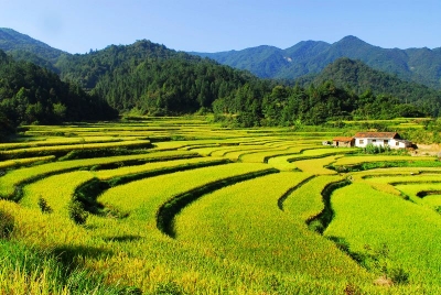 视频︱邱丽新在罗田调研督办大别山国家级自然保护区环保整改等工作