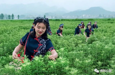 【黄冈发布】“美丽中国长江行，共舞长江经济带”网络主题活动采访团走进蕲春