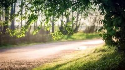 荐读| 生活是你自己的，别让人生输给了心情