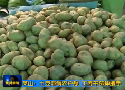 英山：土豆滞销农户愁 工商干部伸援手 