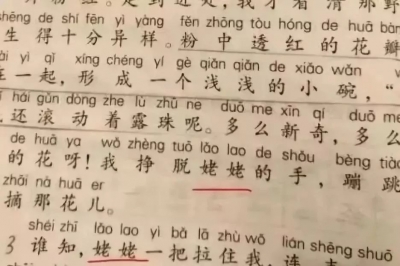 处理意见来了！