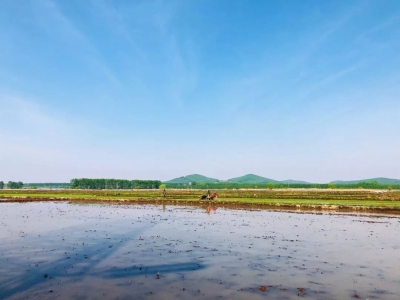 来自黑土地的善粮是什么味道，你知道吗？