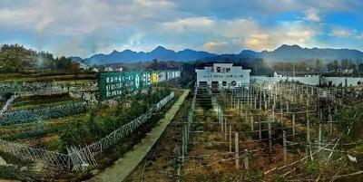 刘雪荣：坚决打赢精准脱贫攻坚战
