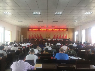 武穴市大法寺镇：坚持党建引领，创建美丽乡村样板镇