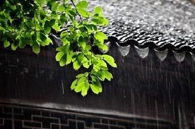 天气 | 湖北今天迎来梅雨期第二场全省性降雨