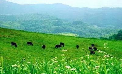 6月30日前湖北省900万农户将领50亿元耕地地力保护补贴