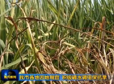 我市各地因地制宜 积极调水调电保抗旱
