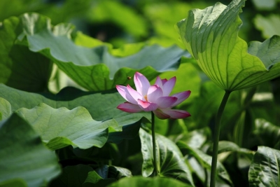 醉人乡村游  最美陈策楼  