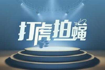 湖北省长江经济带产业基金管理有限公司党委书记、董事长王含冰接受纪律审查和监察调查