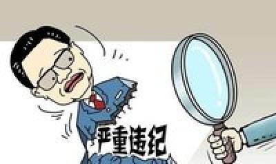 湖北省纪委监委上半年共处分11330人 查处“一把手”案件735件