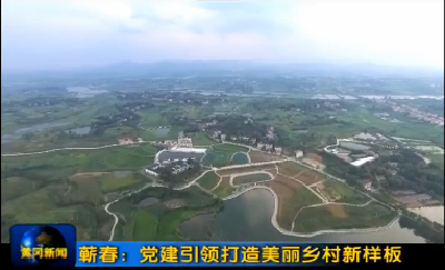 蕲春：党建引领打造美丽乡村新样板