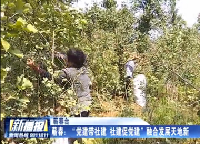 蕲春：“党建带社建 社建促党建” 融合发展天地新