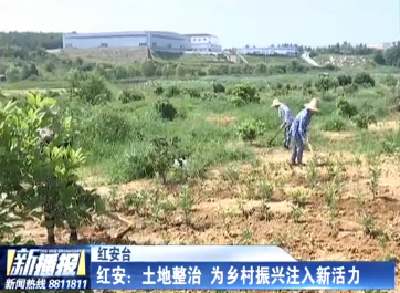 红安：土地整治 为乡村振兴注入新活力