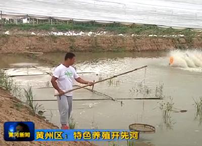 黄州区：特色养殖开先河